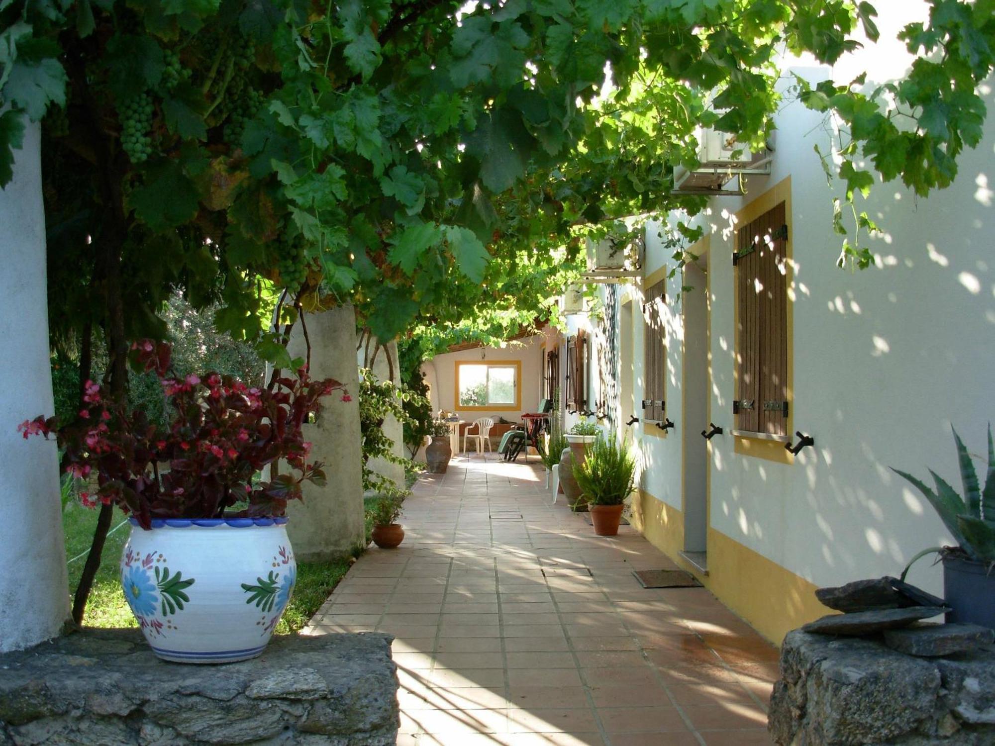 Quinta Paraiso Alagoa ภายนอก รูปภาพ